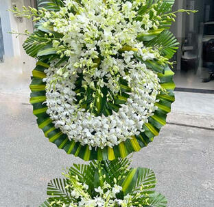 Hoa tươi hiếu hỉ